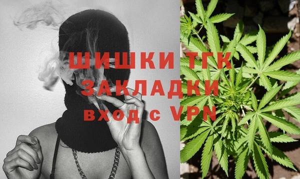 прущие крисы Аркадак