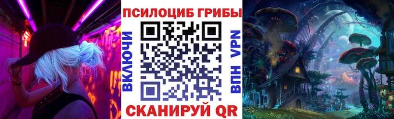 Галлюциногенные грибы Psilocybine cubensis  как найти наркотики  Видное 